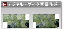 �f�W�^�����U�C�N�ʐ^�쐬