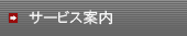 �T�[�r�X�ē�